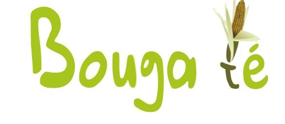 Cover image of Etablissement Bouga Té AgriServices, Agribusiness venture on VC4A