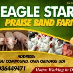 Logo of Eagle Stars praise band farm, Agribusiness venture on VC4A