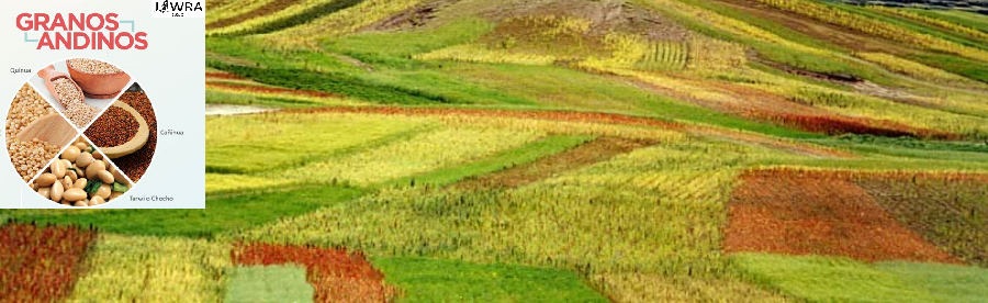 Cover image of Jiwra - Granos Andinos del Peru, Agritech venture on VC4A