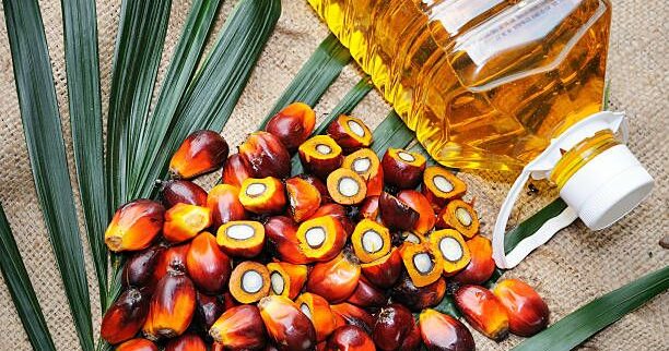 Cover image of Ejefarms Ltd, Biofuels venture on VC4A