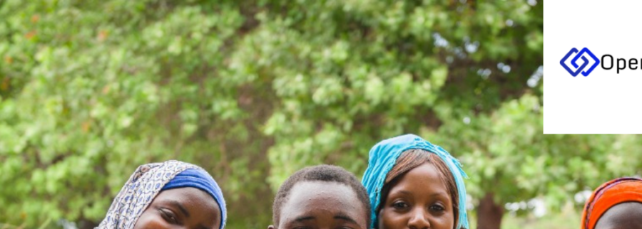 Cover image of Open South Sudan, Agritech venture on VC4A