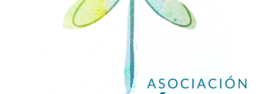 Cover image of Asociación Casa Libélula, Educational services venture on VC4A