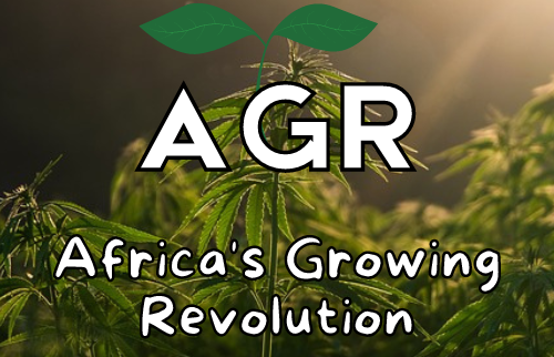 Cover image of 4iAfrica - Insight | Innovate | Implement | Impact, Agribusiness venture on VC4A