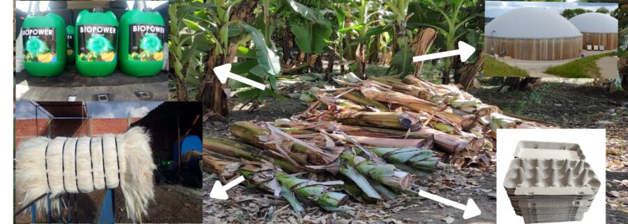 Cover image of Africain natural fibre, Gestion et recyclage des déchets venture on VC4A