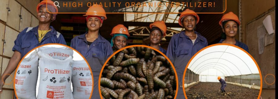 Cover image of Marula Proteen Uganda Limited, Agribusiness venture on VC4A