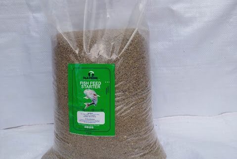 Cover image of TilaFeeds, Fish farming venture on VC4A