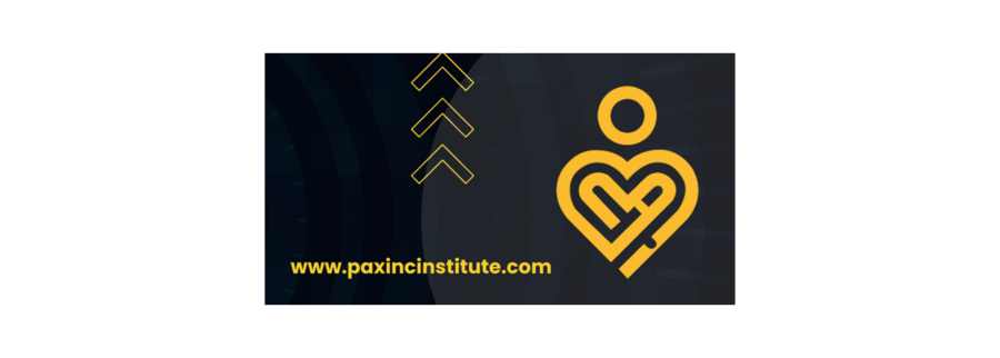 Cover image of PAXInC, Consulting and business development venture on VC4A