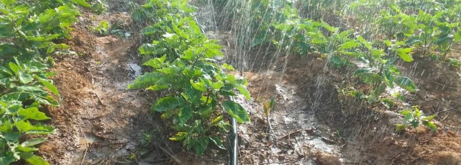 Cover image of GREEN AGRO Valley CI, Community water systems venture on VC4A