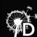 Partner Program D-Prize Challenges 2024 image of Black Logo