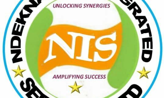Cover image of Ndeknaan Integrated Services NIS, Construction and manufacturing venture on VC4A