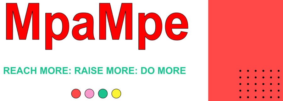 Cover image of MpaMpe, Educational services venture on VC4A
