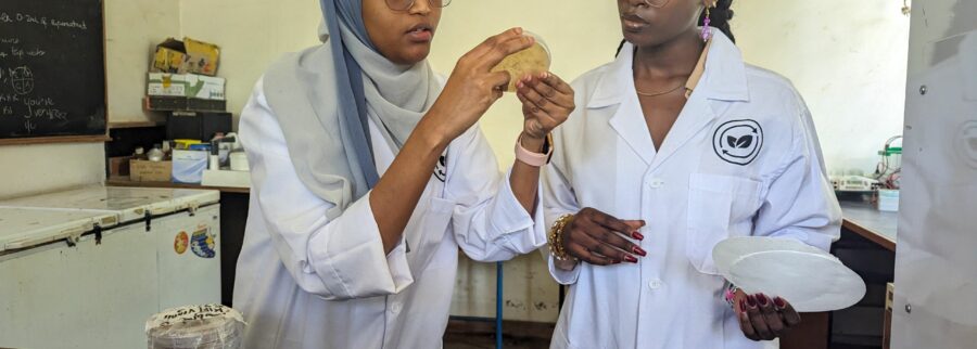 Cover image of Rethread Africa, Biomass venture on VC4A