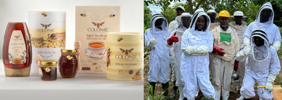 Cover image of Assahore & KO, Agribusiness venture on VC4A