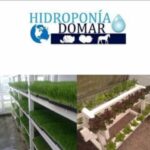 Logo of Hidroponia DOMAR, Animal farming venture on VC4A