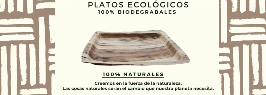 Cover image of Plateco, Food and beverage venture on VC4A