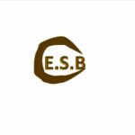 Logo of Excellent S Black (Pty) Ltd, Household appliances venture on VC4A