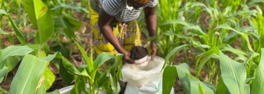 Cover image of BIO Planet TMC Ltd, Agribusiness venture on VC4A