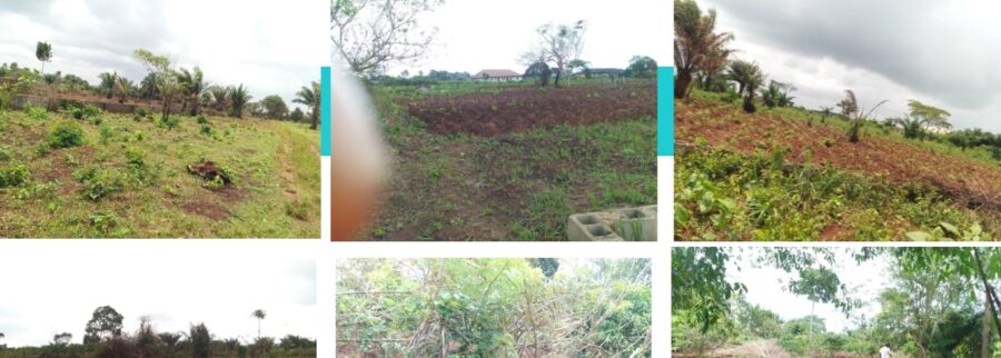 Cover image of Supremarts, Agribusiness venture on VC4A