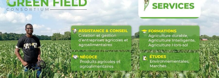 Cover image of Green Field Consortium, Agribusiness venture on VC4A