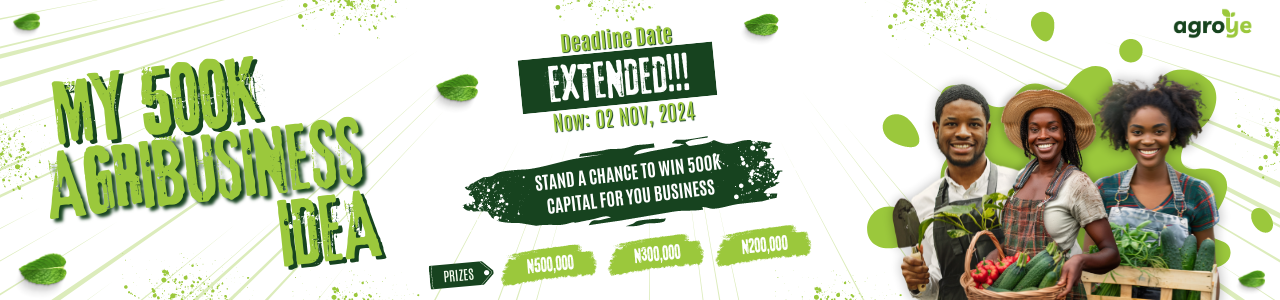 Agroye My 500K Agribusiness Idea