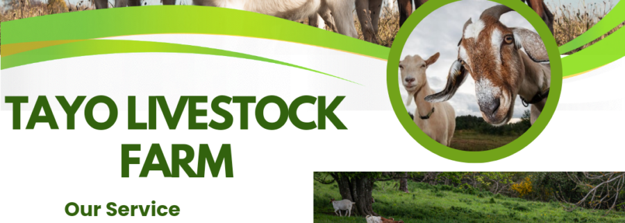 Cover image of Tayo Livestock and Agribusiness Farm, Agribusiness venture on VC4A