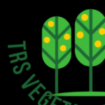 Logo of Tongogara refugee settlement vegetables and fruits, Agribusiness venture on VC4A