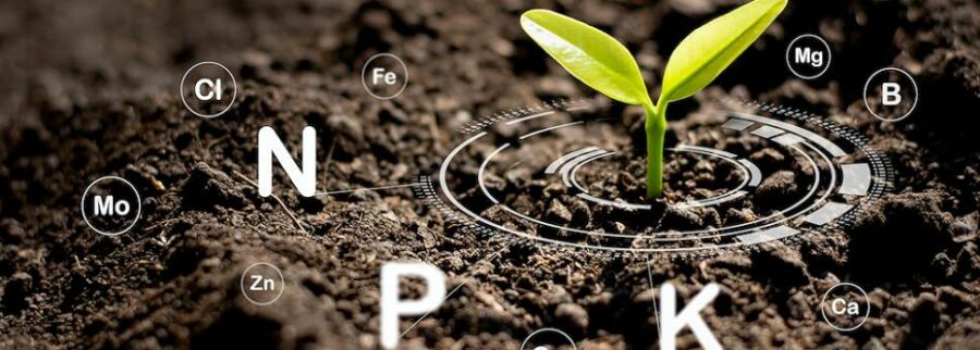 Cover image of Entreprise : Jeunes Agro-Innovateurs du Mali (J.A., Agribusiness venture on VC4A