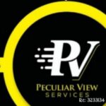 Logo of Peculiar VIEW Services, Renewable energy venture on VC4A