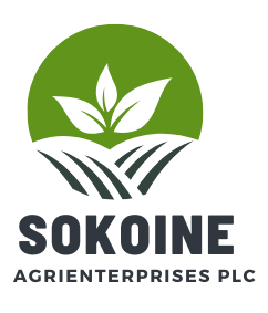 Cover image of Sokoine Agrienterprises PLC, Agritech venture on VC4A
