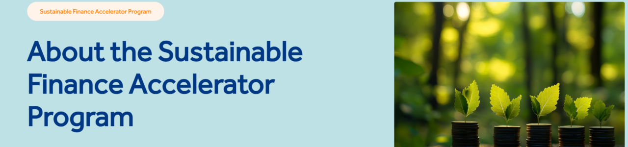 Sustainable Finance Accelerator
