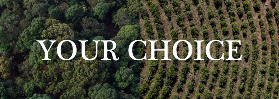 Cover image of Monsoon Tea Company, Food and beverage venture on VC4A