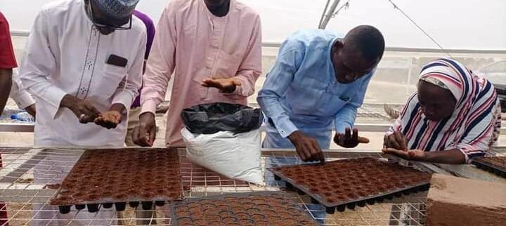 Cover image of GARUN BABBA Multi-Ventures Nigeria Limited, Crop farming venture on VC4A