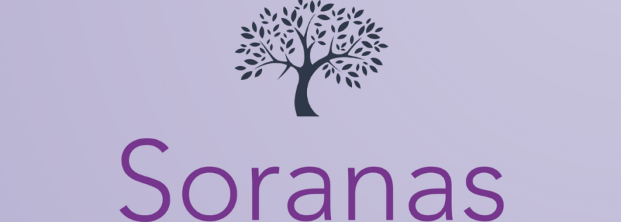 Cover image of Soranas, Drugs and cosmetics venture on VC4A