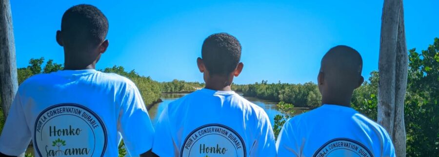 Cover image of Honko Salama, Agribusiness venture on VC4A