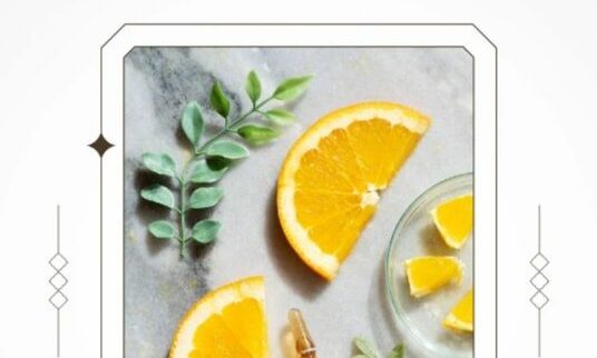 Cover image of Lemora, E-commerce venture on VC4A