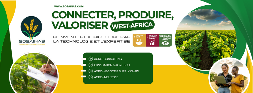 Cover image of Sosainas, Agribusiness venture on VC4A