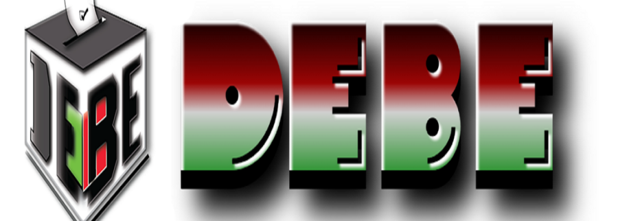 Cover image of Debe, Computer games venture on VC4A
