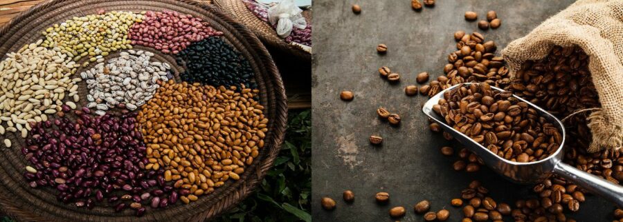 Cover image of Semshol company limited, Agribusiness venture on VC4A