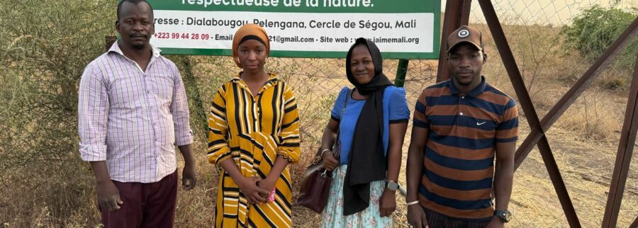 Cover image of Young Agro - Innovator from Mali, Agribusiness venture on VC4A