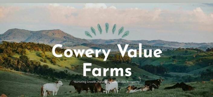 Cover image of Cowery VALUE ECO FARMS, Agriculture animale venture on VC4A