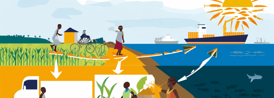 Cover image of Sunroot Trade, Import and export venture on VC4A