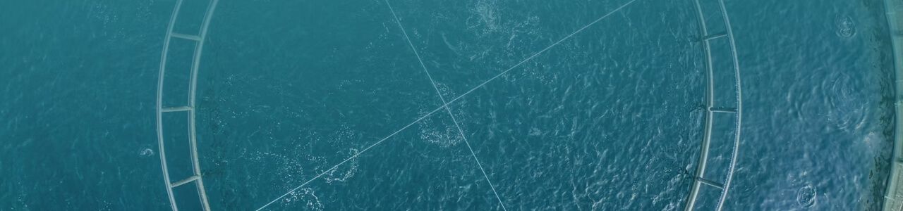 AgriBlue.AI Accelerator