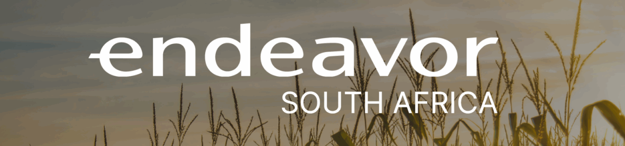African Agritech Scale Up Program 2025