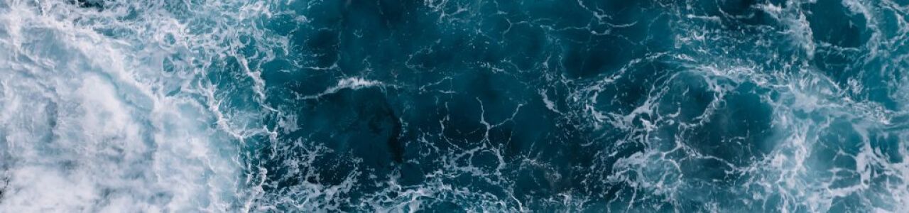 Ocean Exchange
