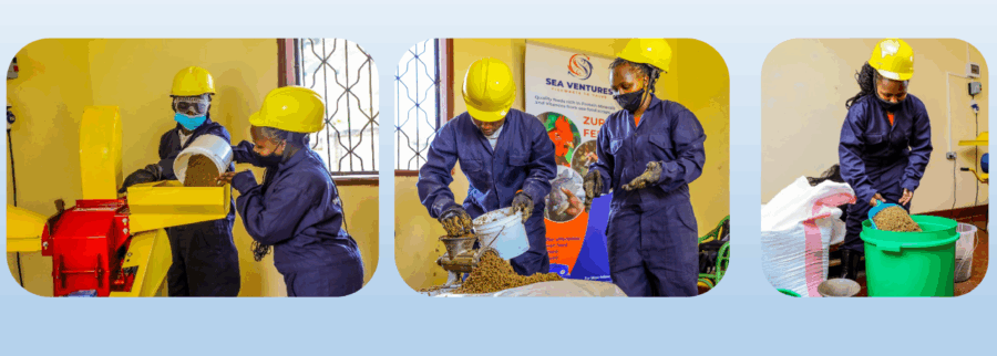 Cover image of Sea Venture Kenya, Agribusiness venture on VC4A