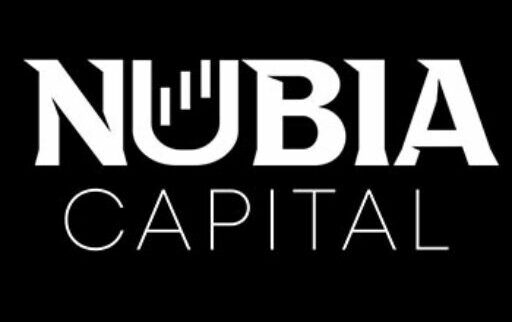 Cover image of Nubia Capital, Fintech venture on VC4A