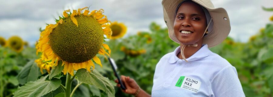 Cover image of KilimoMax Solutions, Crop farming venture on VC4A