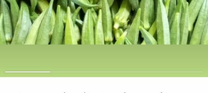 Cover image of Ferme Patin, Agribusiness venture on VC4A