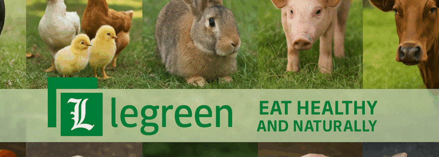 Cover image of Legreen, Animal farming venture on VC4A