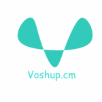 Logo of Voshup, Adtech venture on VC4A